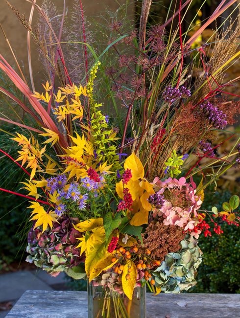 Autumn, Fall, Flower Arrangement
Digging Dog Nursery