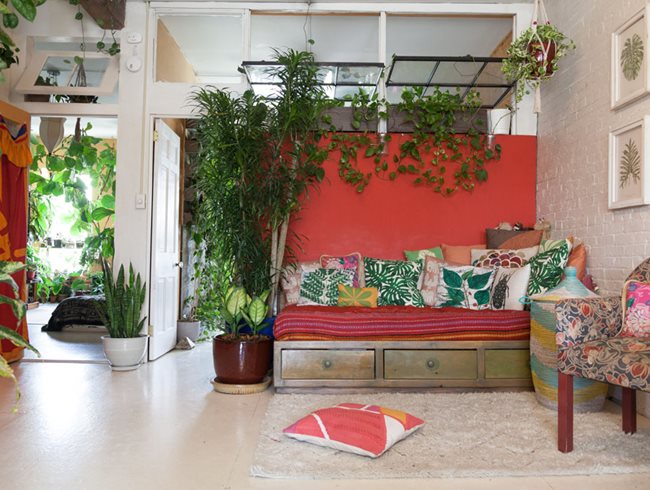 Brooklyn, Apartment, Houseplants
Homestead Brooklyn