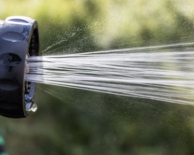 Garden Hose, Watering
"Dream Team's" Portland Garden
Pixabay