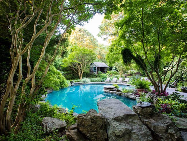 Lomg Island, Pool Garden
Conni Cross Garden Design