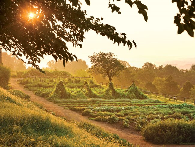 Thomas Jefferson's Monticello, Photo Gallery
Monticello
Charlottesville, VA