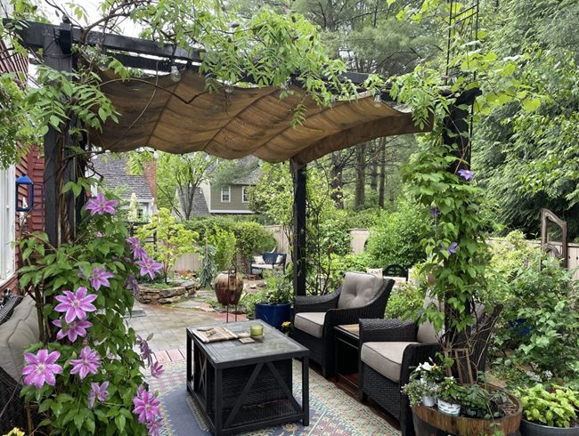 Patio Pergola With Vines
Alli Guleria
Washington D.C.,