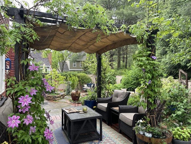Patio Pergola With Vines
Alli Guleria
Washington D.C.,