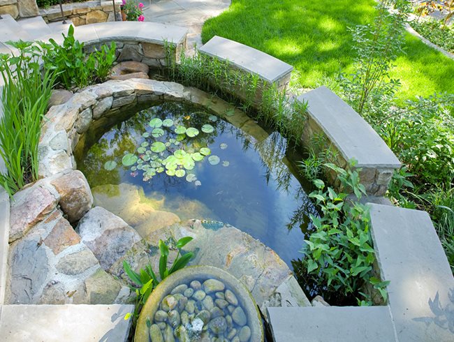 Rainwater Harvesting, Catchment Pond
Tom Mannion Landscape Design Inc.
Arlington, VA