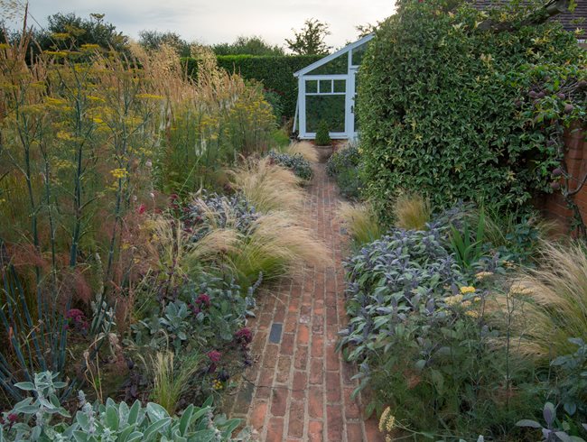 Red Brick Path, Foliage
Daniel Shea Contemporary Garden Design
Norfolk, UK