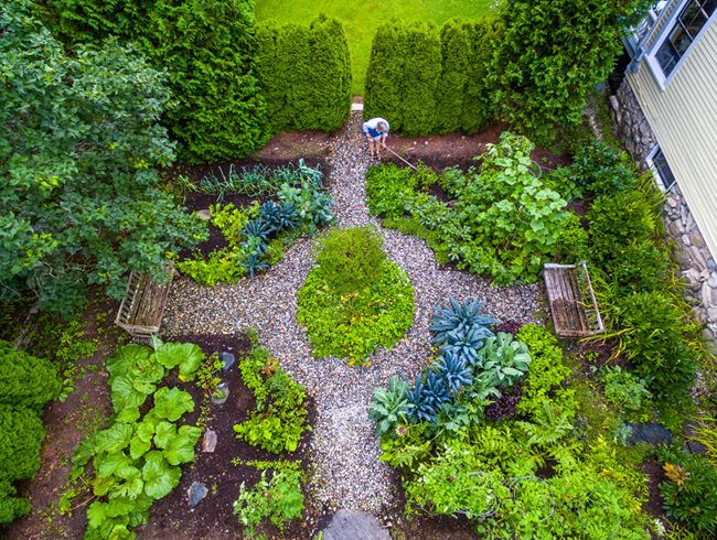 Small Garden, Vegetable Garden
Ellen Ecker Ogden