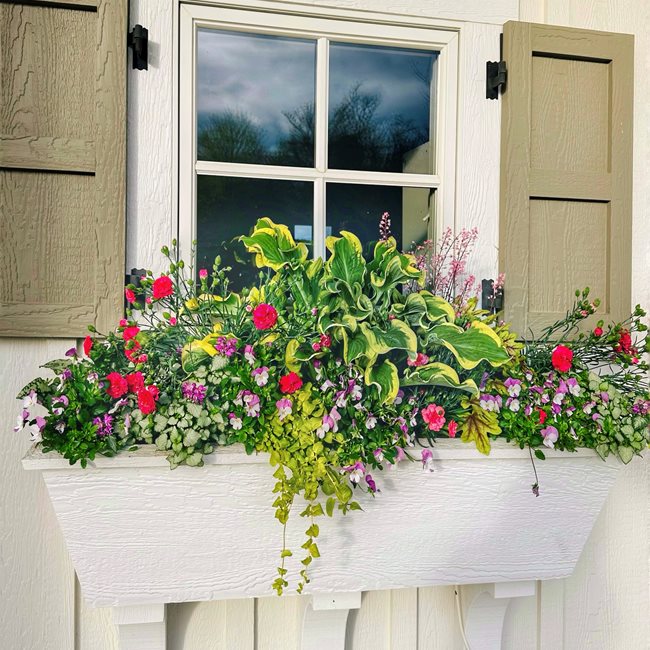 Windowbox With Flowers
"Dream Team's" Portland Garden
Garden Design
Calimesa, CA